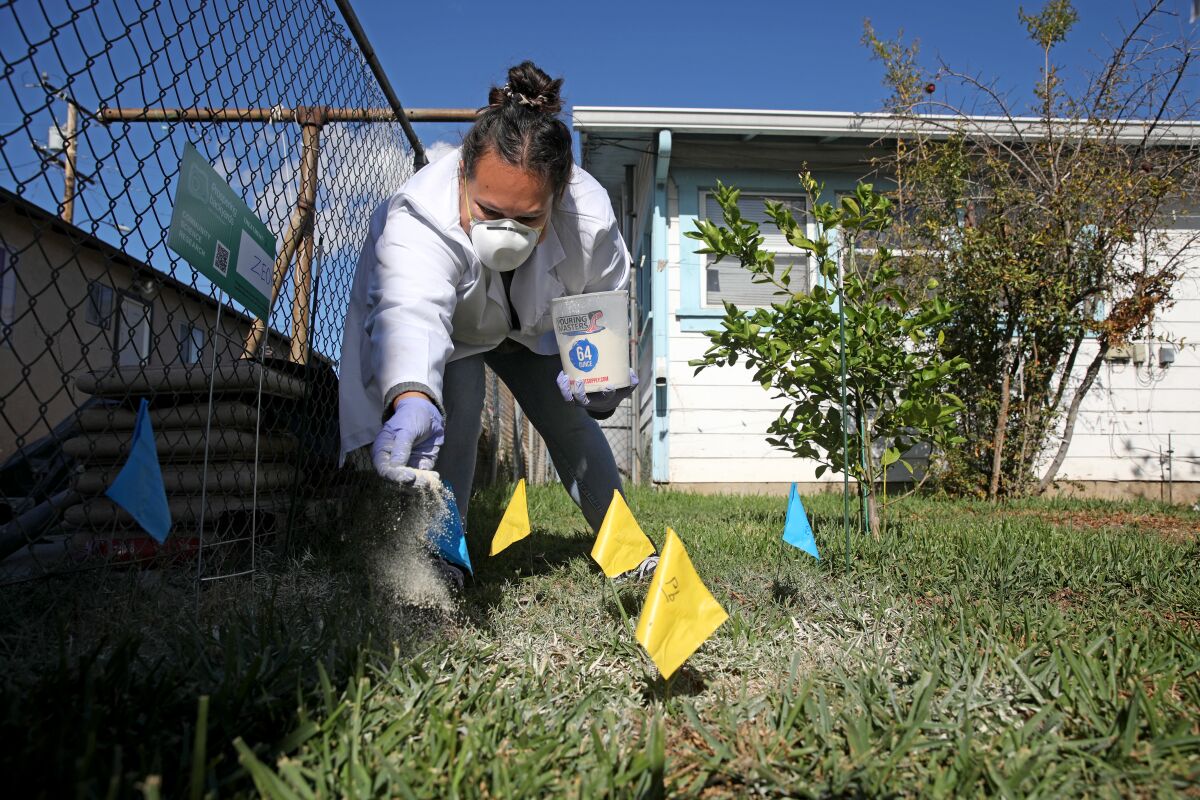A woman with a mask and gloves spreading mineral onto her yard