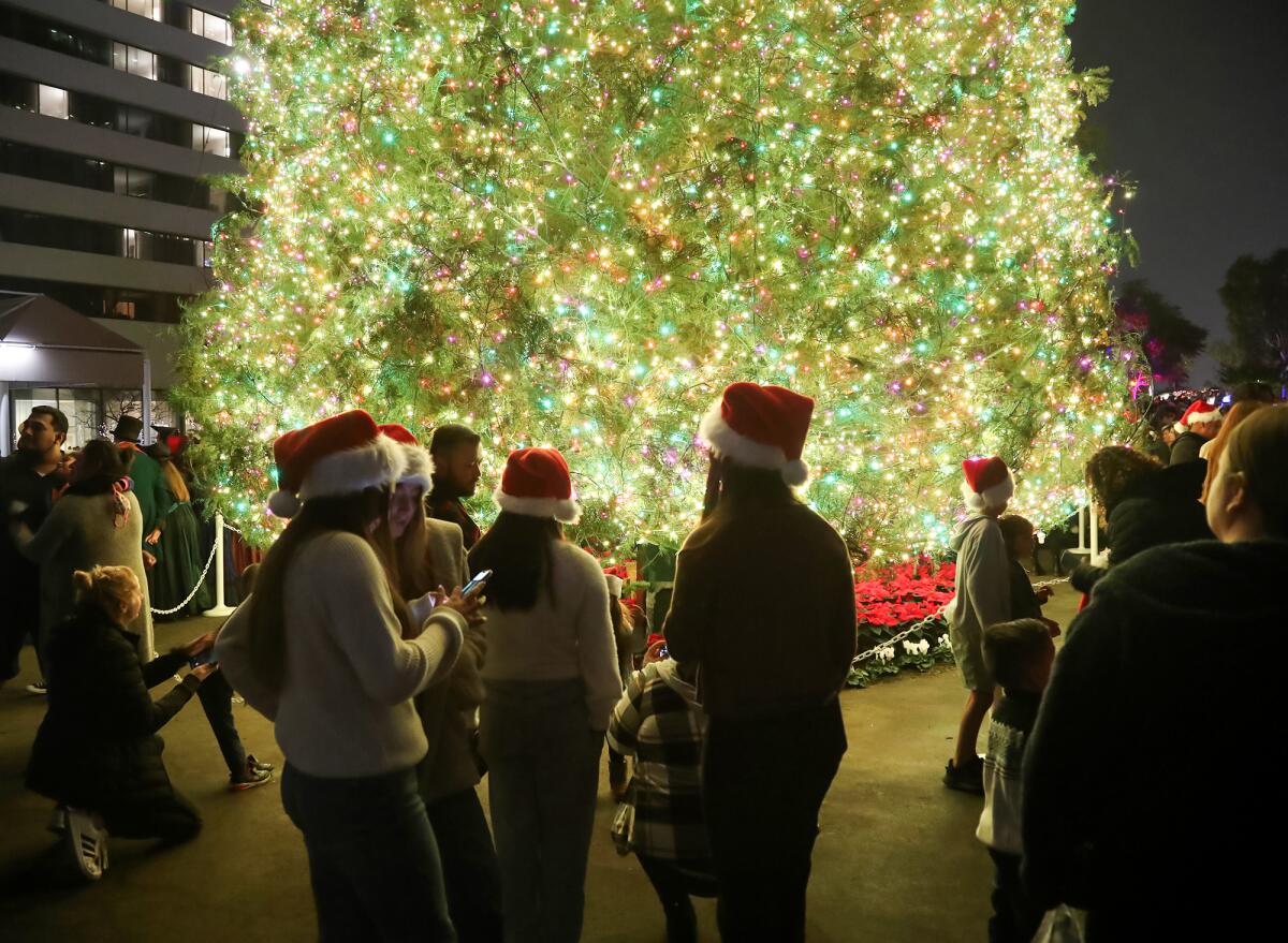 Kids wearing complimentary Santa hats stand in front of the 96-foot white fir tree.