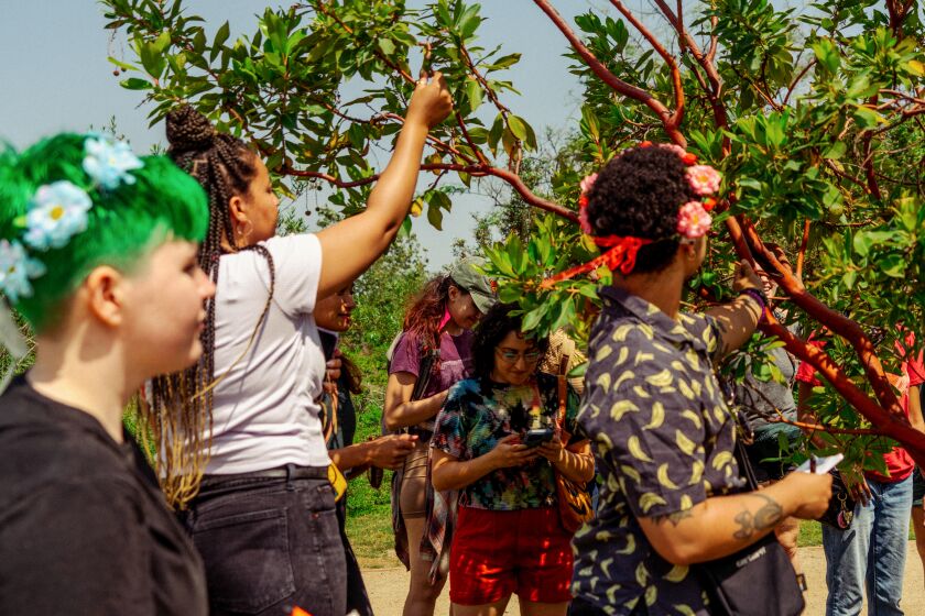 LOS ANGELES, CA MAY 20TH- Queer foragers examine the trees around them during a Queer Foraging Workshop organized by Jessica Lin at Los Angeles State Historic Park on Saturday, May 20, 2023.