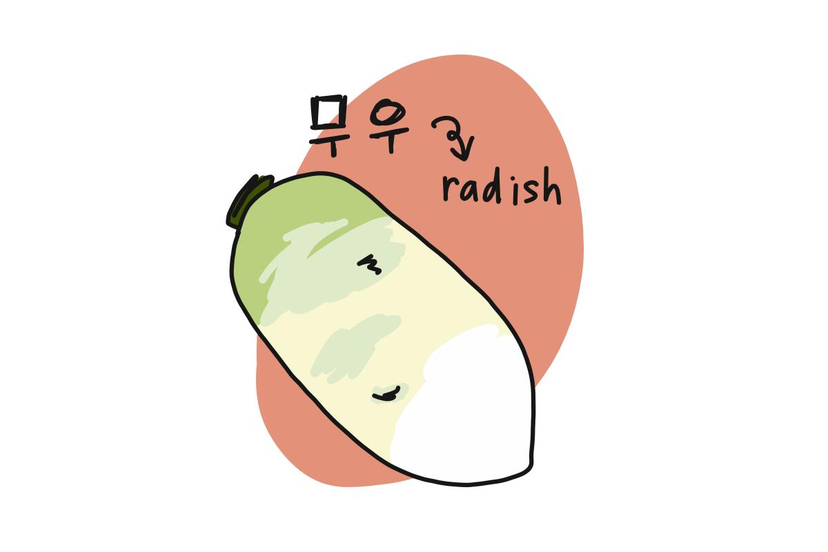 Illustration of a radish