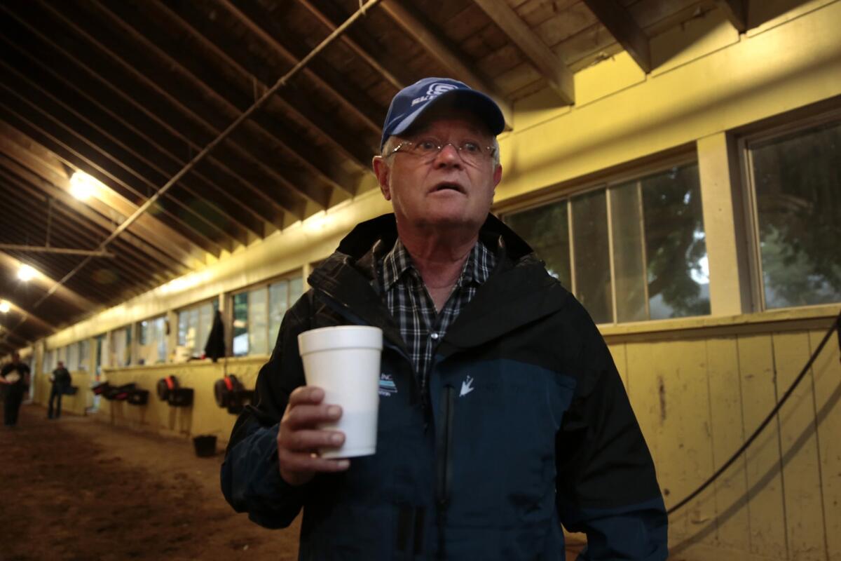 California Chrome trainer Art Sherman stands in a barn before his horse goes out for an exercise session at Belmont Park last summer.