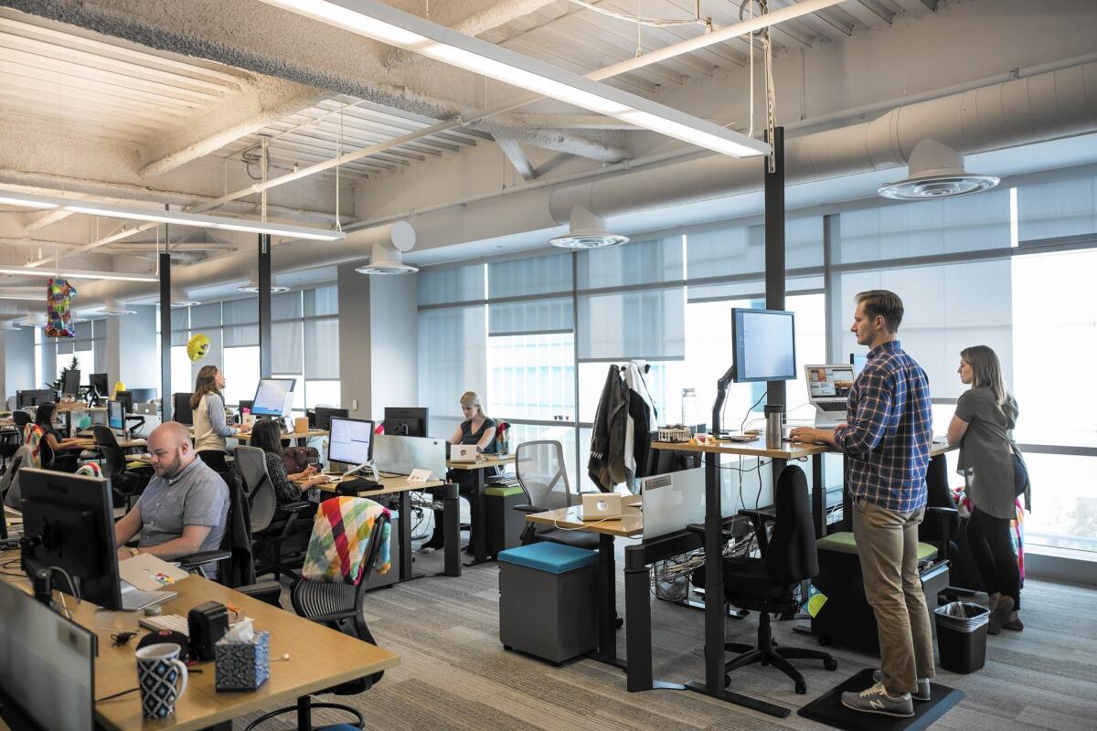 Employees work in the San Francisco headquarters of Slack, a company that makes instant messaging apps. According to internal metrics, since its launch in 2014, it has become one of the fastest-growing business applications in history.