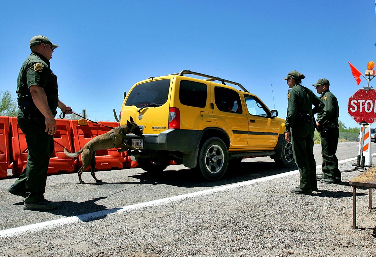 Three agents inspecting an SUV, one with a dog on a leash on its hind legs and sniffing the back of the vehicle  