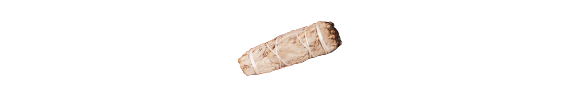 cut out of a sage stick