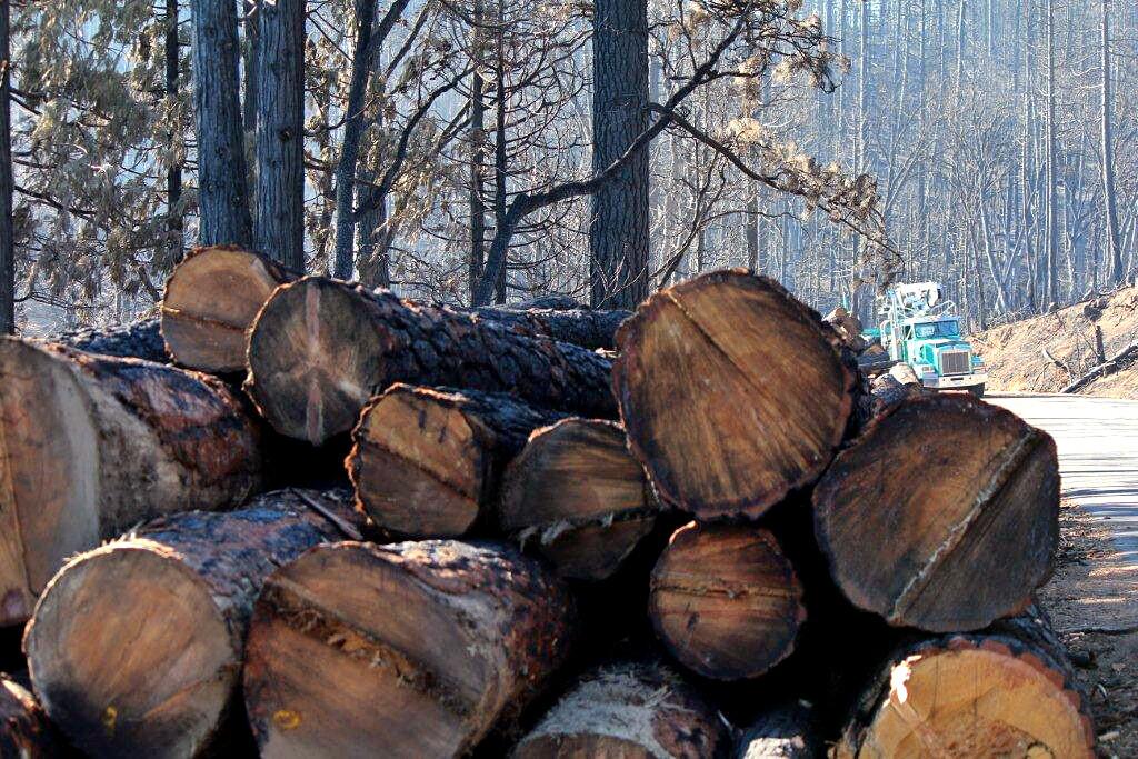 Stacking the logs