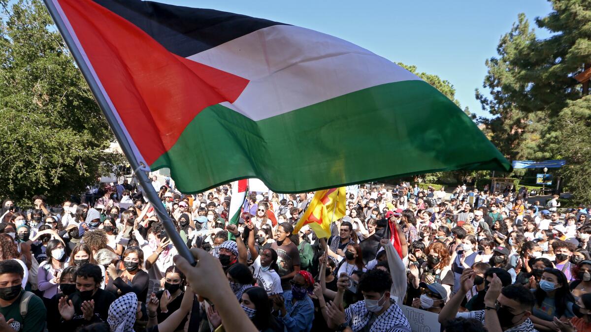 Granderson: Those campus rallies aren't just pro-Palestinian. They're anti-colonial