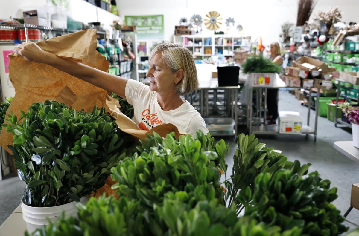 Casey Schwartz unwraps greenery at her floral design business