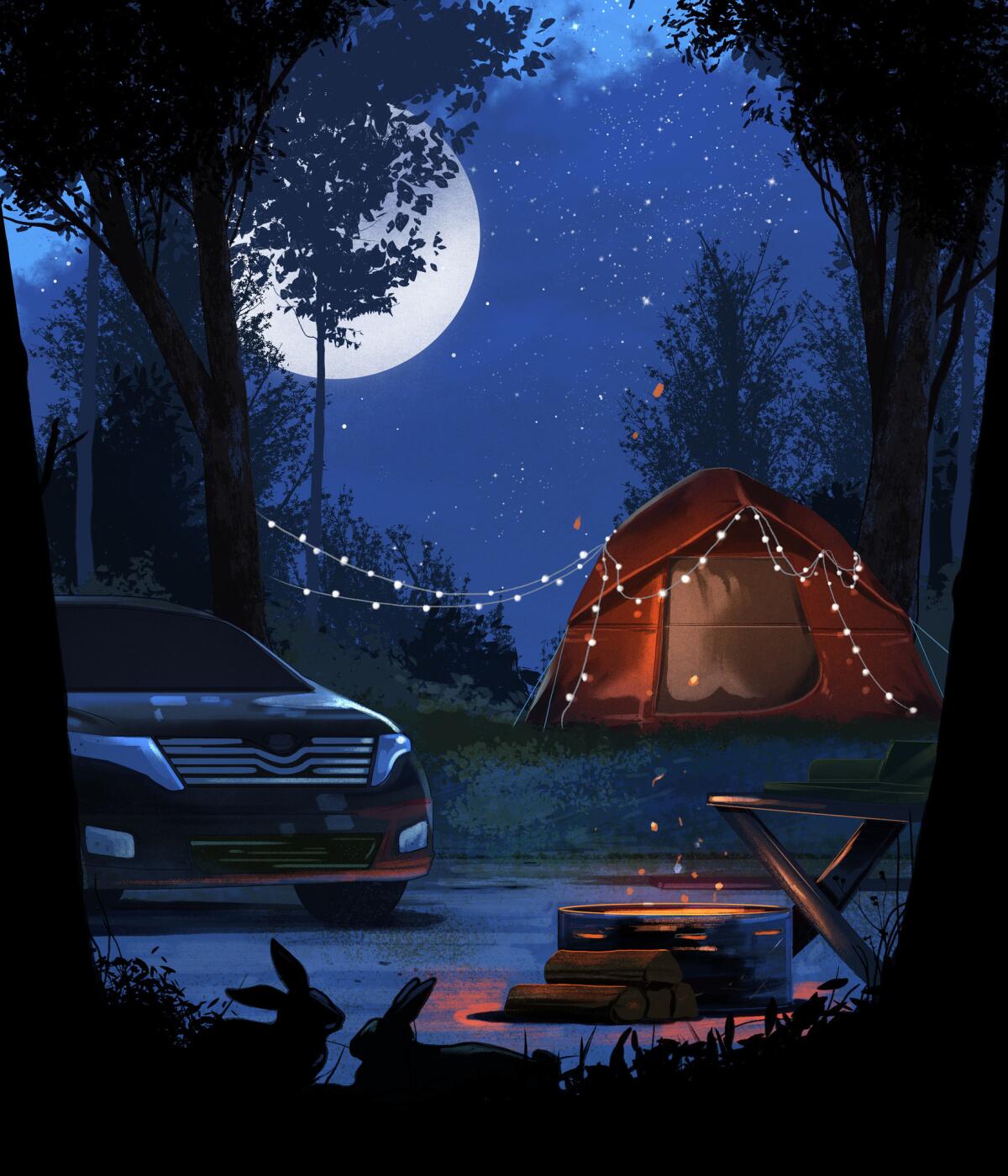 Illustration for a Travel section story on camping for newbies. (Jonathan Bartlett / For The Times)