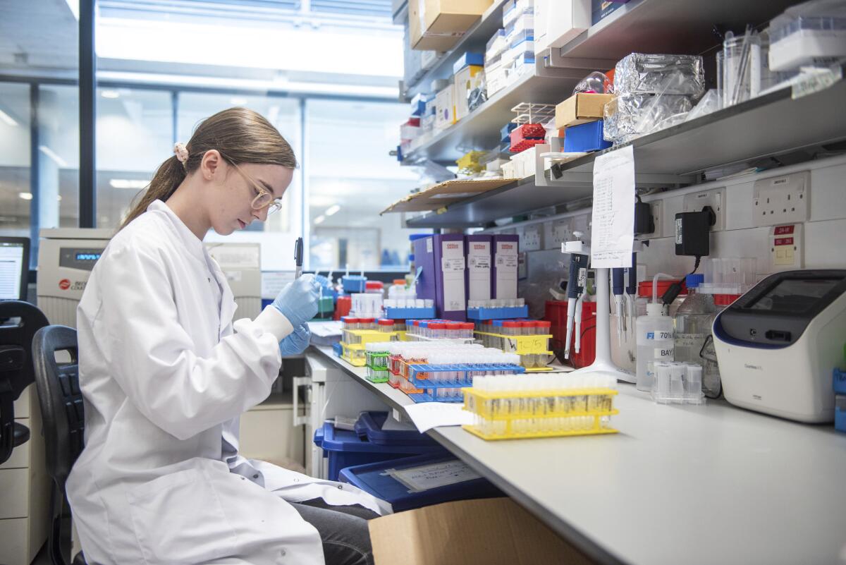 A researcher works on the coronavirus vaccine developed by AstraZeneca and Oxford University. 