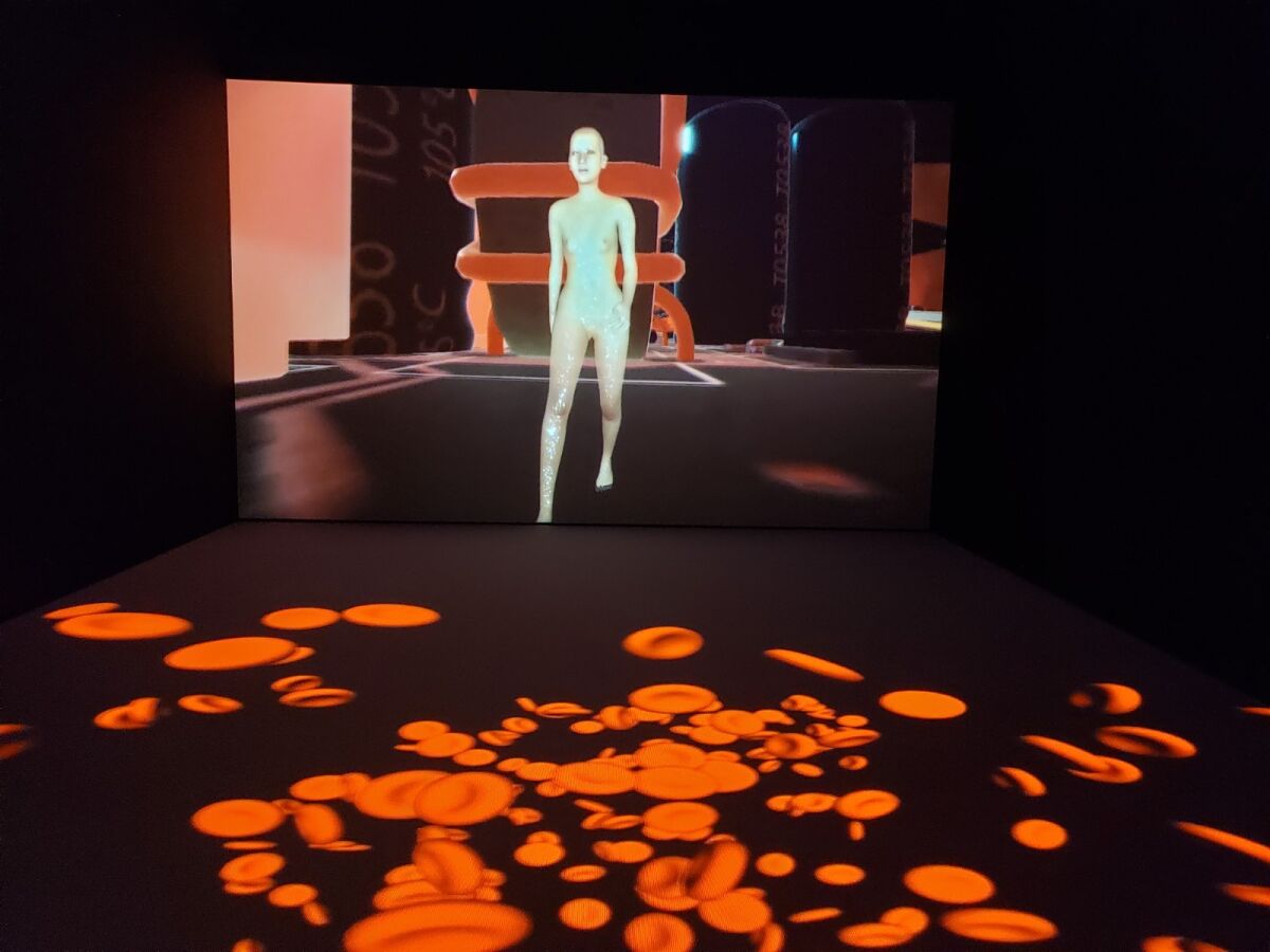 A video installation by Shu Lea Cheang shows blood cells and a female figure