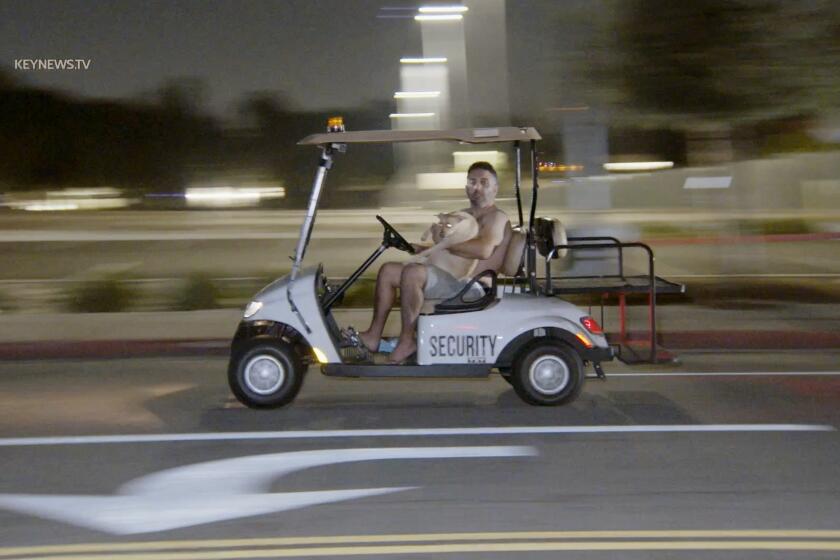 The driver of a stolen golf cart, who had a dog in his lap during the duration of the chase, led police on an unusual chase in the San Fernando Valley on Sunday. LAPD responded to a report of a possibly stolen golf cart and assault with a deadly weapon shortly after 9 p.m. in the 18700 block of Ventura Boulevard. The driver refused to stop for police, leading to the bizarre, low-speed pursuit.