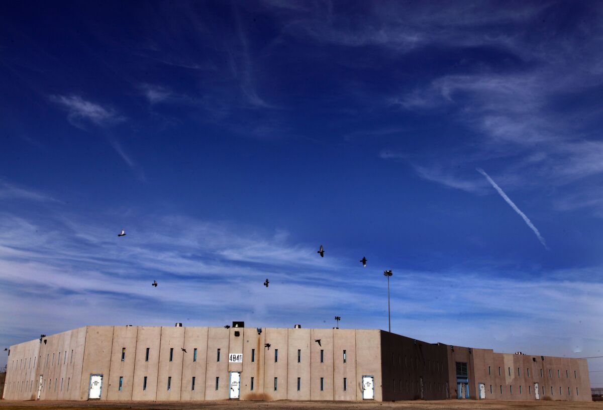Birds fly over a prison building.