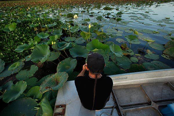 In the marsh