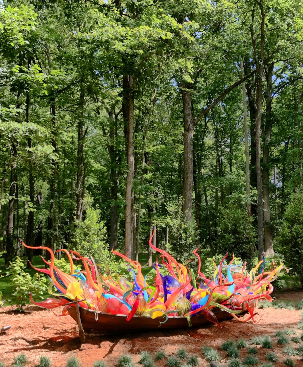 Dale Chihuly's old wooden rowboat is filled with glass-blown forms to create "Fiori Boat," part of the Chihuly in the Forest outdoor exhibition at Crystal Bridges Museum of American Art. (Cynthia Mines)