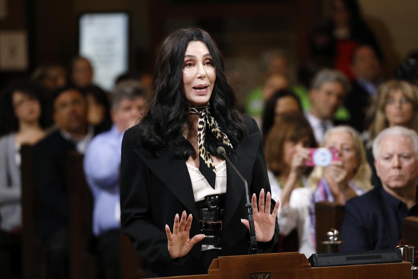 Cher at L.A. City Council