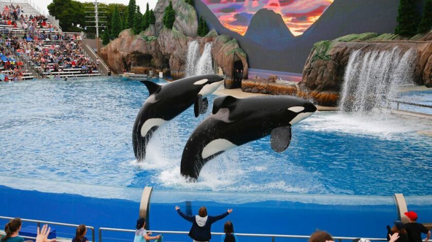 SeaWorld San Diego unveiled this summer its new Orca Encounter, one of several steps the theme park company has taken to burnish its image since the 2013 release of the "Blackfish" documentary.