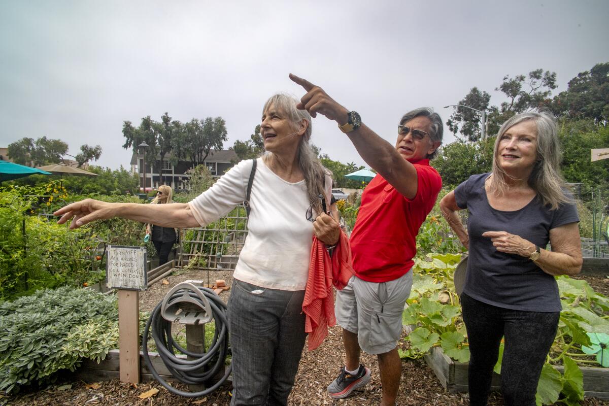 Ann Christoph, Ruben Flores and Sally Coffey point out details on the South Laguna Community Garden Park's upper level.