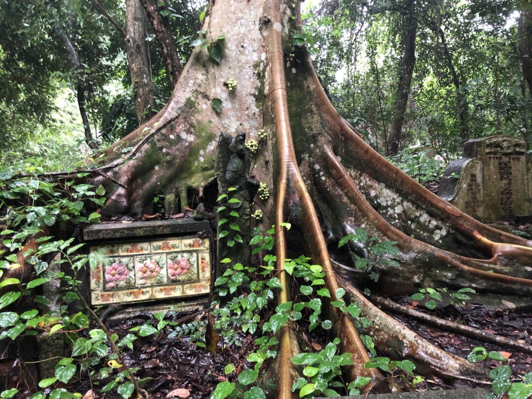 Bukit Brown Cemetery 