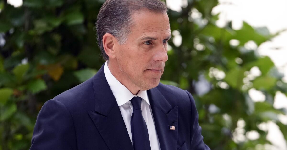 Former companions of Hunter Biden have been referred to as to testify in his trial