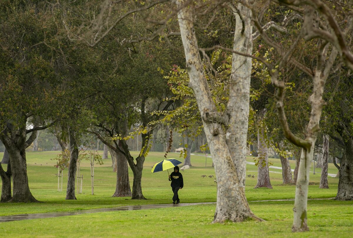 A person walks through the rain in Mile Square Park.