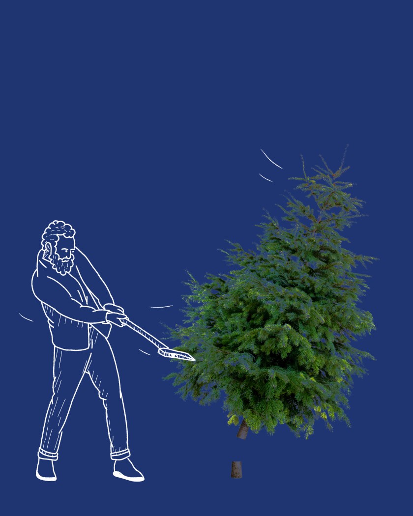 There are plenty of places in L.A. to cut your own Christmas tree.