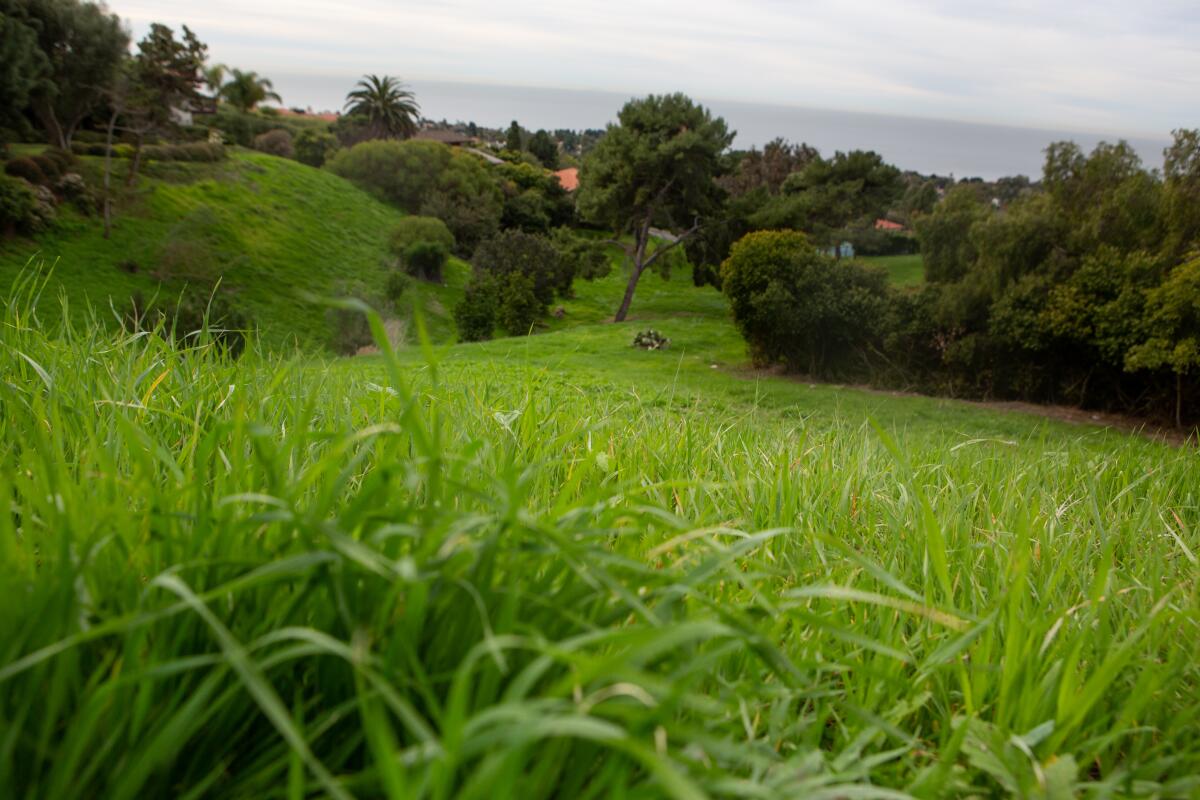 Rancho Palos Verdes