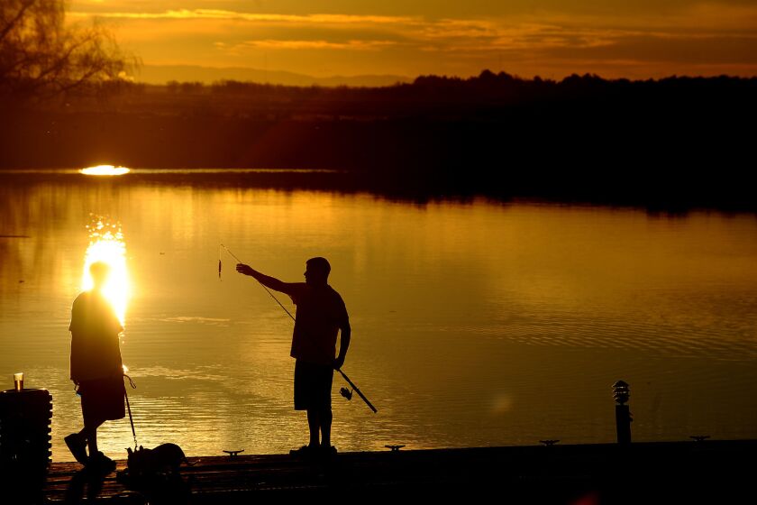 Two young men fish from a marina dock in the Sacramento-San Joaquin Delta. The State Water Resources Control Board has issued a draft cease-and-desist order against an irrigation district that diverts supplies from the delta's Old River.