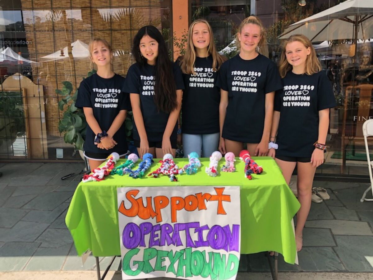 La Jolla-based Troop 3869 Girl Scouts Charly Fay, Alexis Zecha, Tessa Costanza, Chayse Teeple and Samantha Gans raise money and awareness for Operation Greyhound at La Jolla Art & Wine Festival. Not pictured: Scouts Brigette Broms and Daphne Mayers.