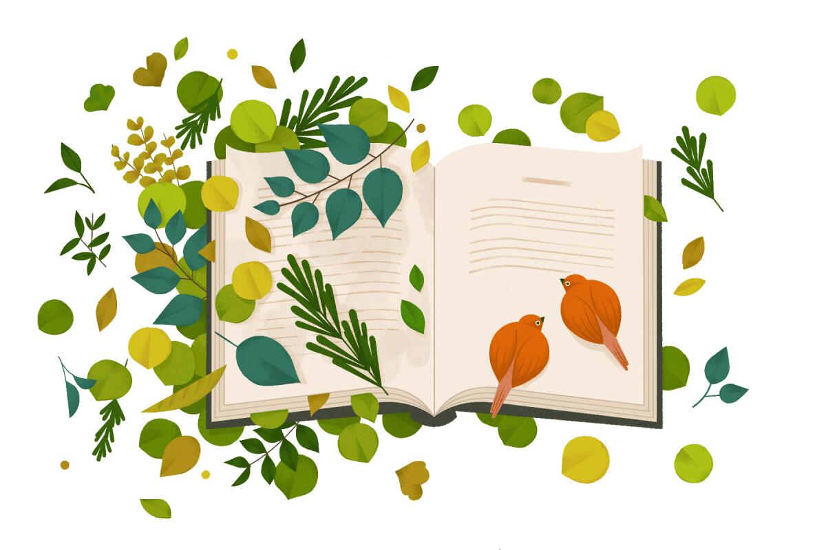 An illustration of an open book with a riot of leaves on the left and two birds on the right.