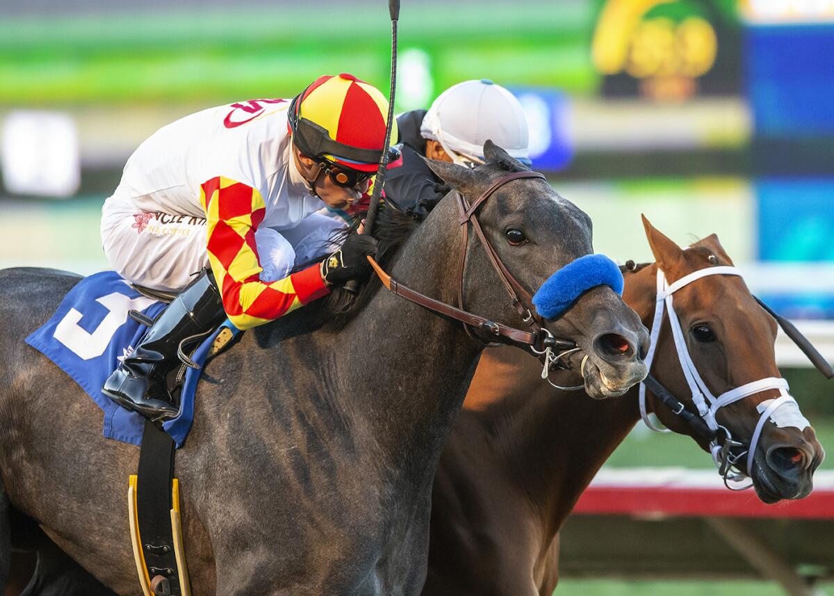 2nd horse dies in first three days of Del Mar fall meet The San Diego