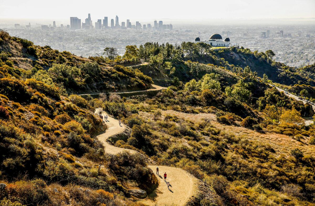 A Griffith Park trail with the Griffith Observatory and downtown L.A. in the distance.