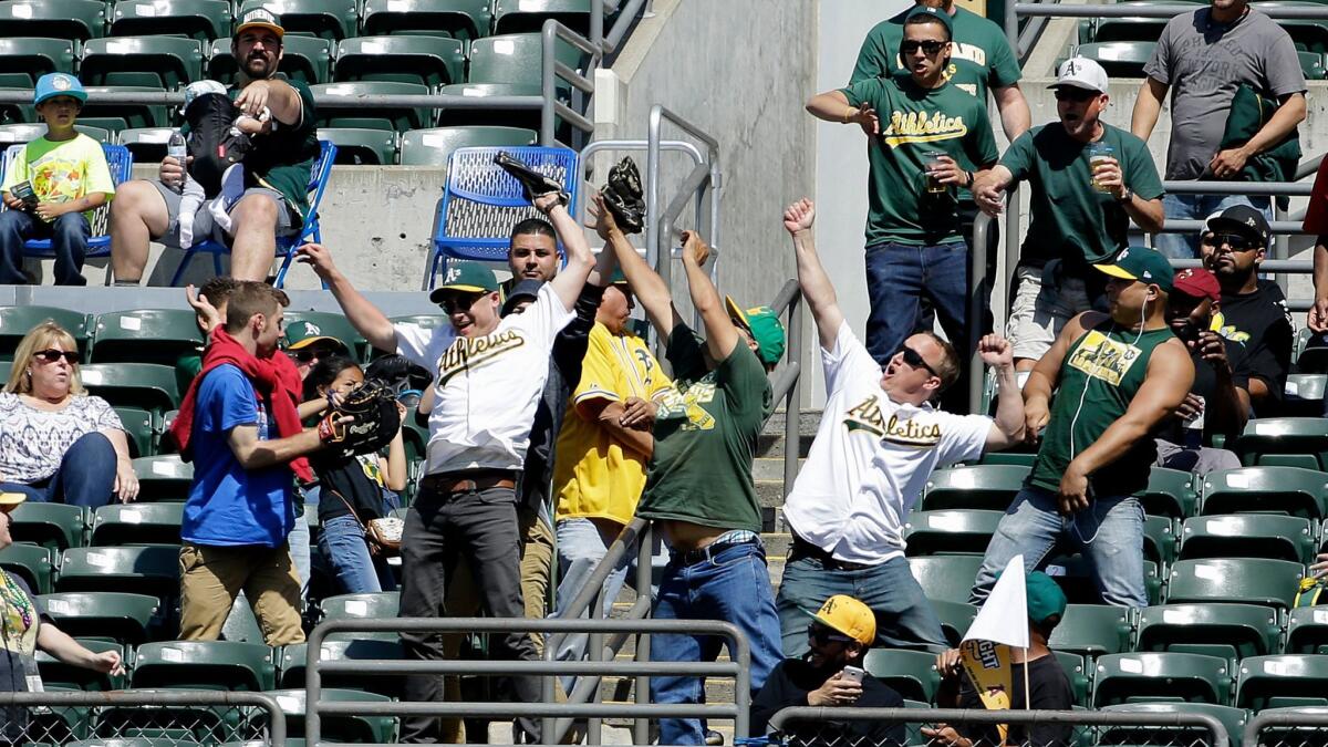 Fans reach for a home run ball hit by the Athletics' Yonder Alonso during a game against Texas at Oakland Coliseum on April 19.