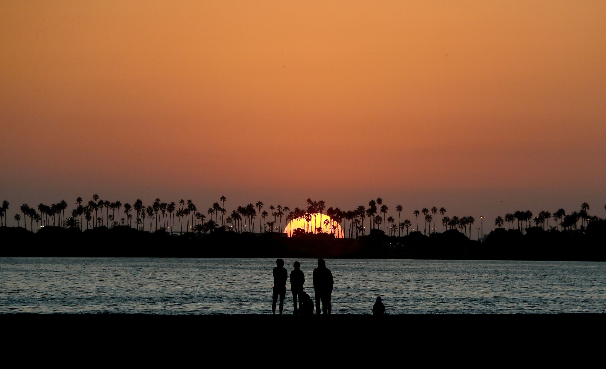 The sun sets behind a long row of palm trees as a group of beachgoers are silhouetted in the foreground
