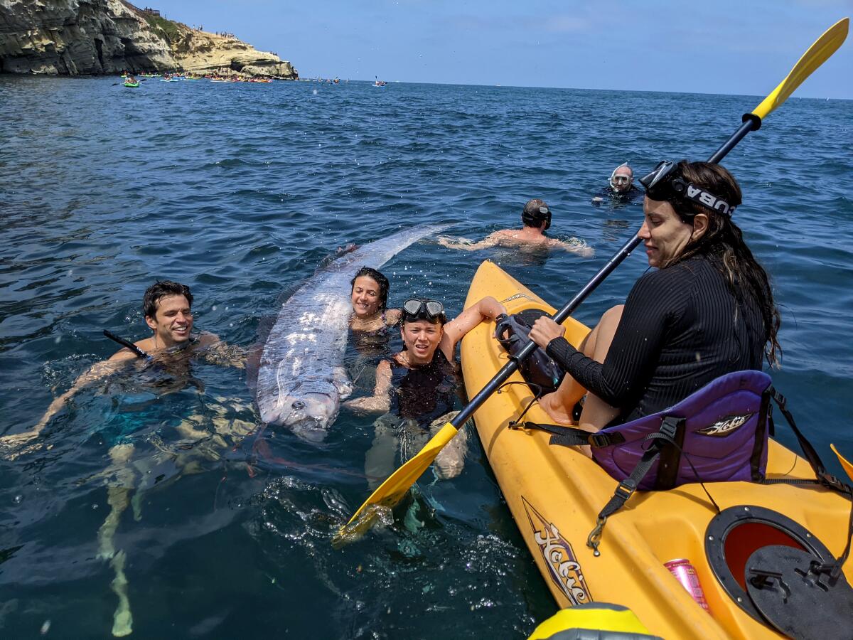 An oarfish is held by kayakers and snorkelers off San Diego