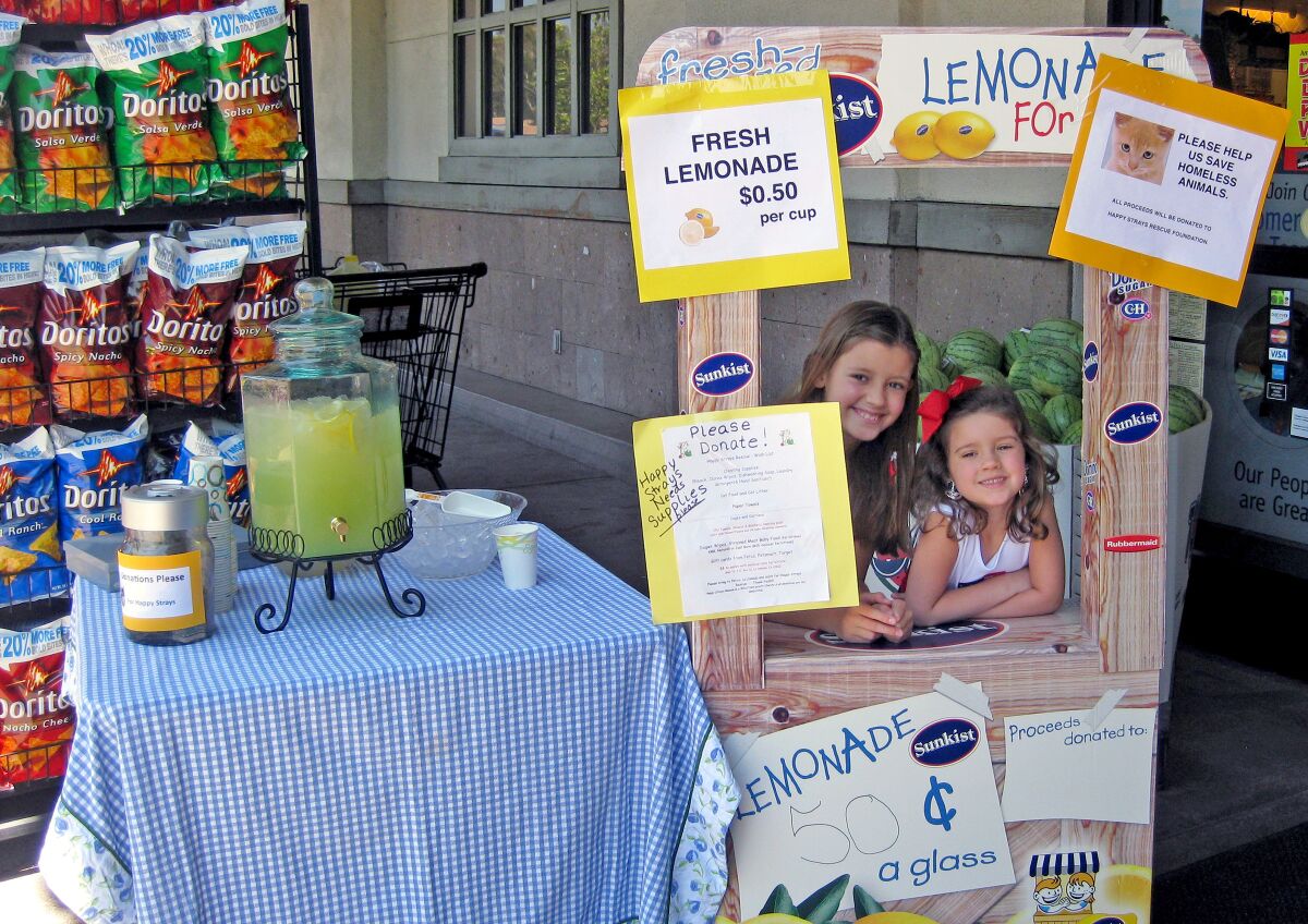 When they were younger, Lauren and Gracie Dundee created a lemonade stand to raise money for charity.