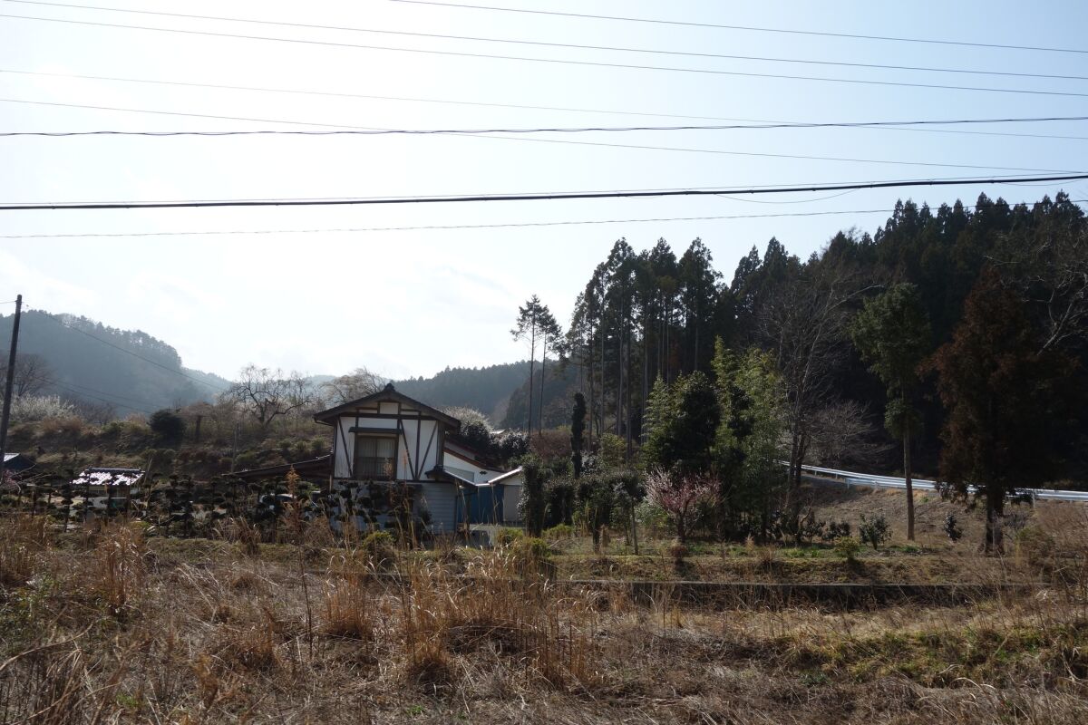 Naraha, Japan, is almost a ghost town. Only 6% of the population has returned. The majority of the buildings and homes are still empty.