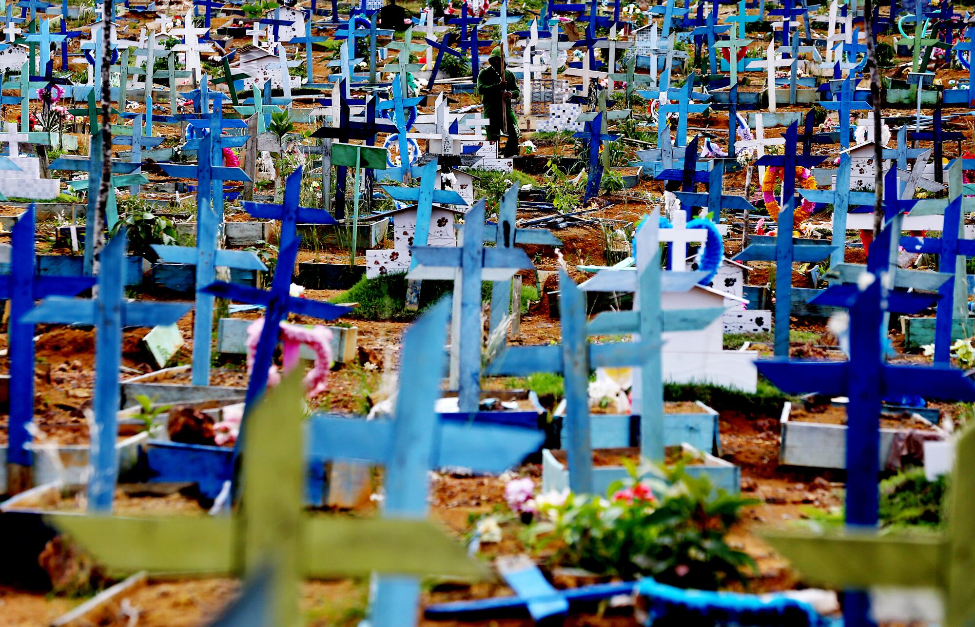 Light blue, dark blue and white wooden crosses fill the scene at a cemetery 