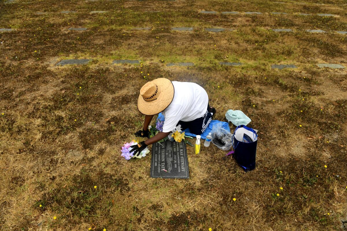 A person in a sun hat and gloves cleans a gravestone.