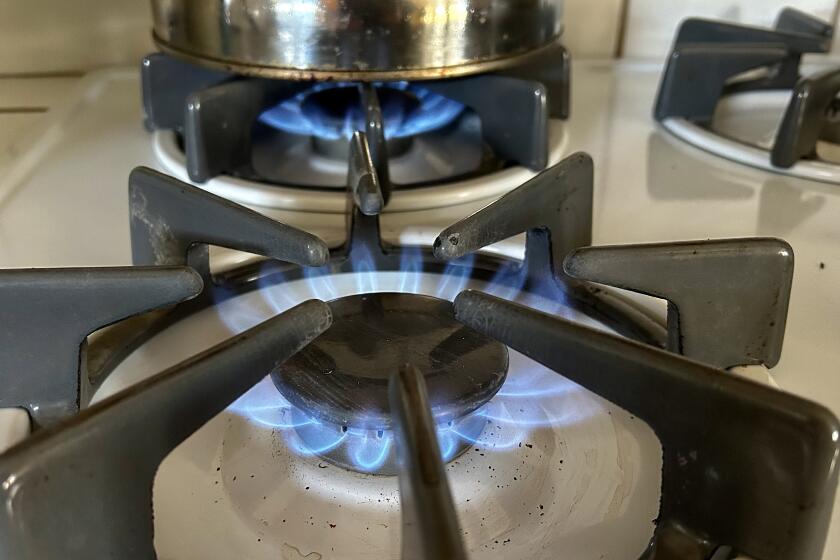 :Blue flames rise from the burner of a natural gas stove April 17, 2023 in Bakersfield, California. The judges argued that the Energy Policy and Conservation Act of 1975 passed by Congress "expressly preempts State and local regulations concerning the energy use of many natural gas appliances, including those used in household and restaurant kitchens."