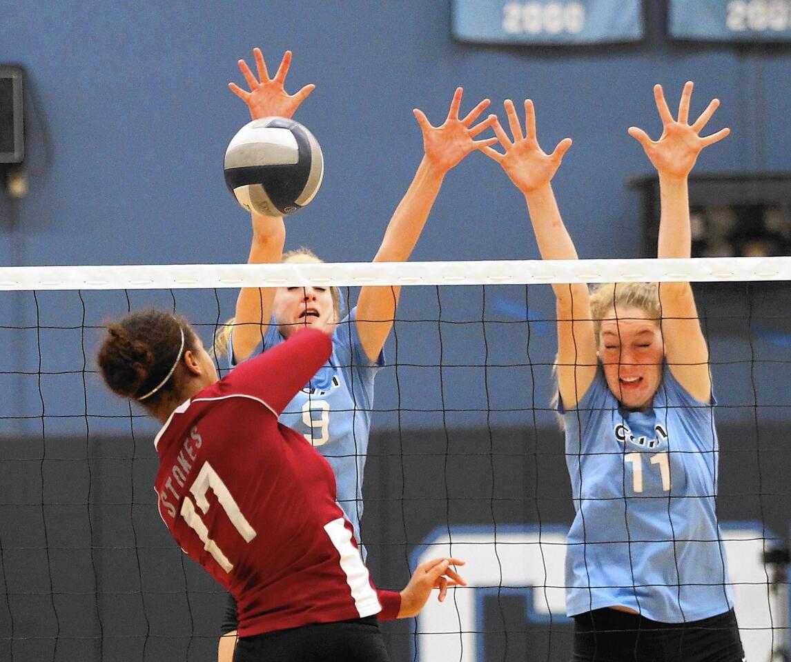 tn-2444038-tn-dpt-sp-cdm-girls-volleyball-6-jpg-20151110