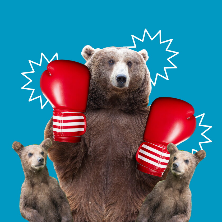 An illustration of a bear with boxing gloves.
