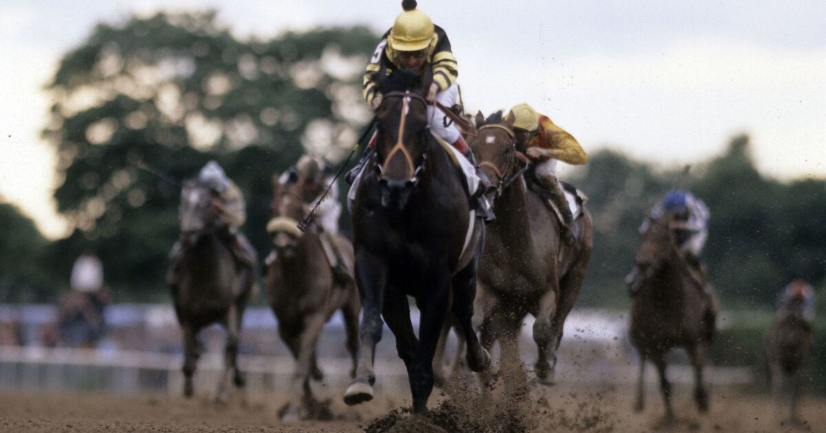 A legacy great to as it's 40 years since Seattle Slew won the Triple Crown - Los Angeles Times