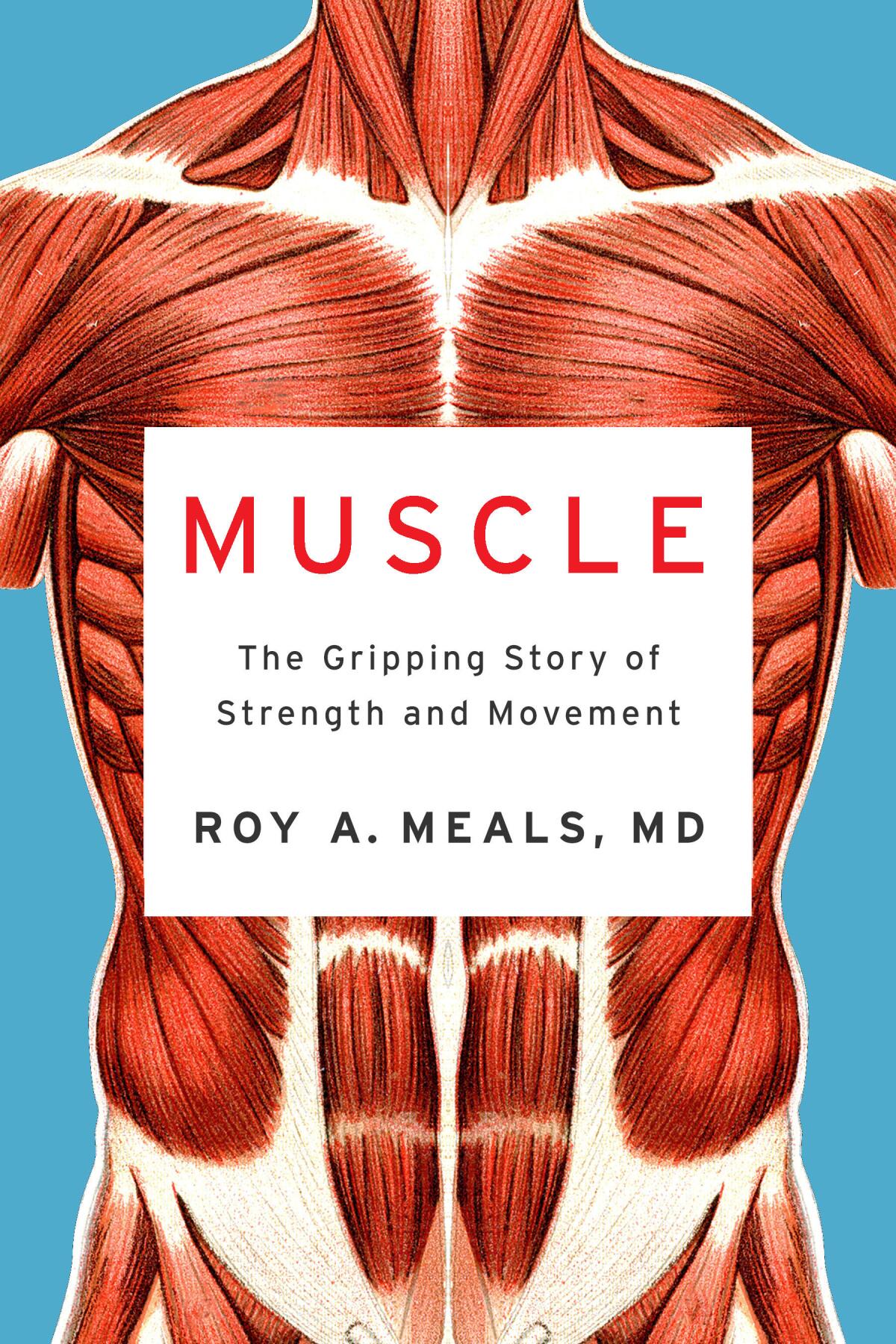  book cover for 'Muscle' by Roy A. Meals features a body at the muscle level