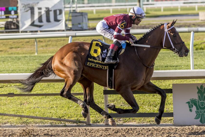 In a photo provided by Benoit Photo, Epicenter, with Joel Rosario aboard, wins the $1 million Louisiana Derby horse race at Fair Grounds on Saturday, March 26, 2022. The first Triple Crown in decades without Bob Baffert’s presence begins with the Kentucky Derby, where Epicenter is expected to be the favorite. (Lou Hodges Jr./Hodges Photography via AP, File)