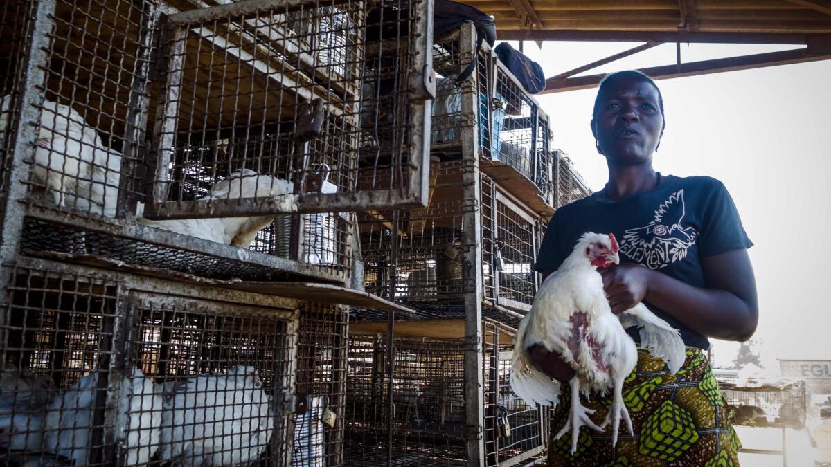 A vendor holds a broiler chicken for sale at the Mbare Market in Harare, Zimbabwe.