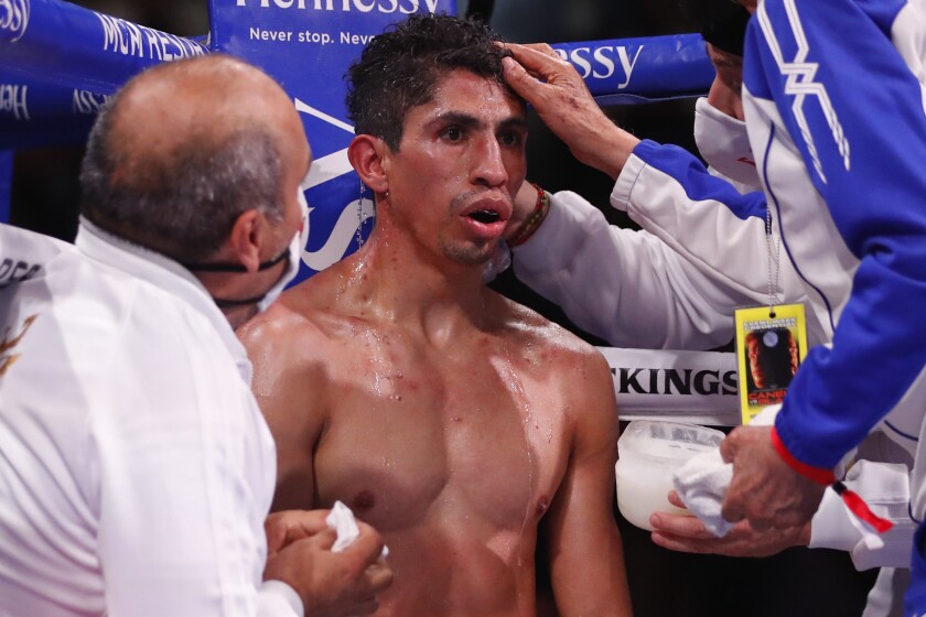 Rey Vargas, of Mexico, sits in his corner between rounds during a featherweight boxing match.