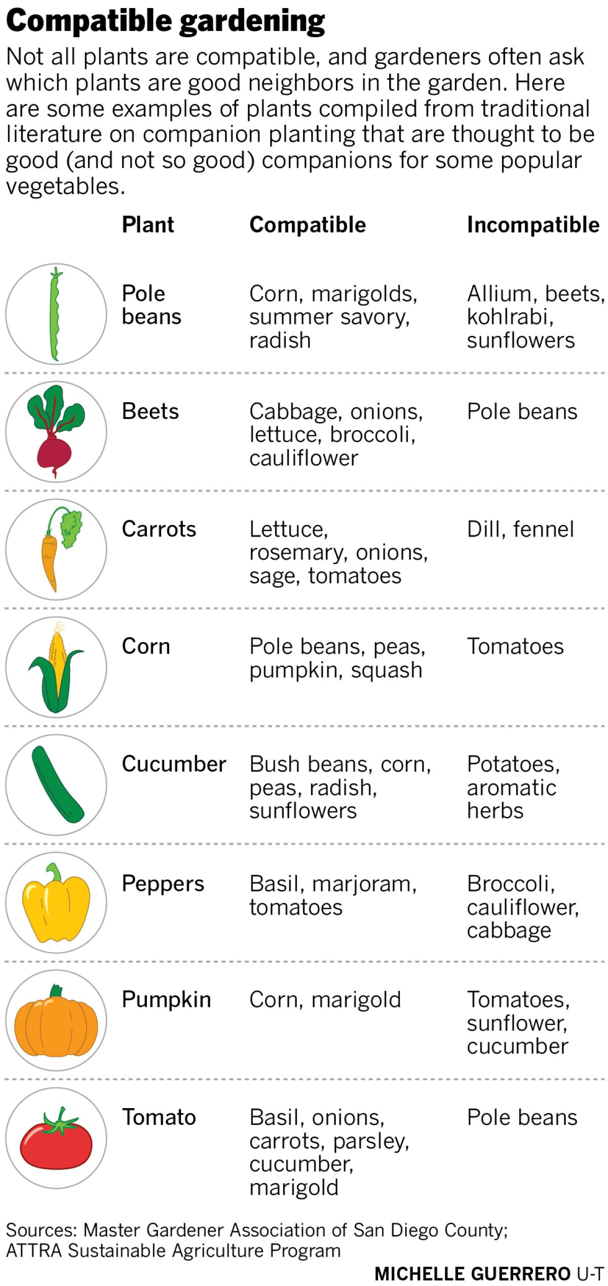 compatible gardening infographic