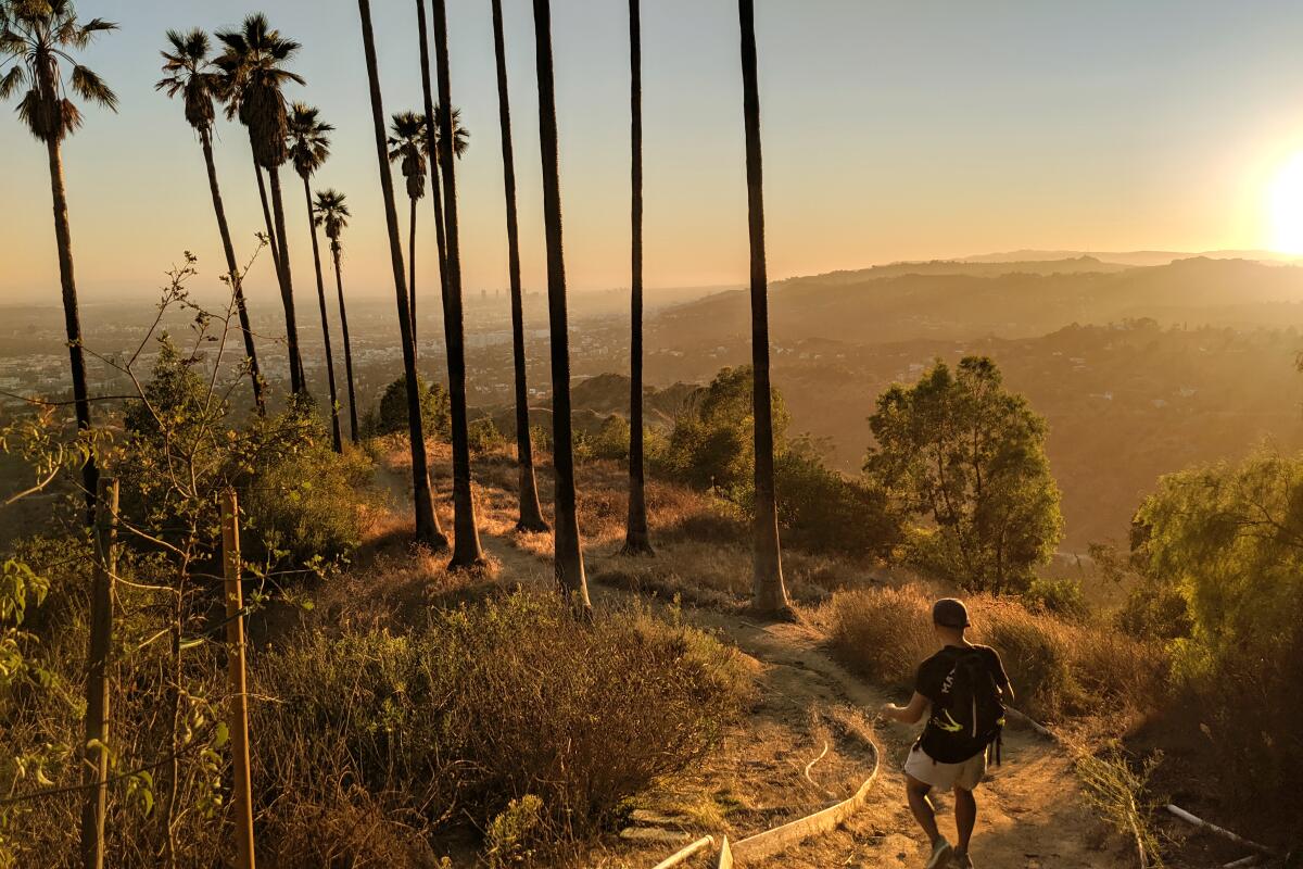 Photos from the classic Griffith Park Hike with views of the Hollywood sign and sprawling valley.