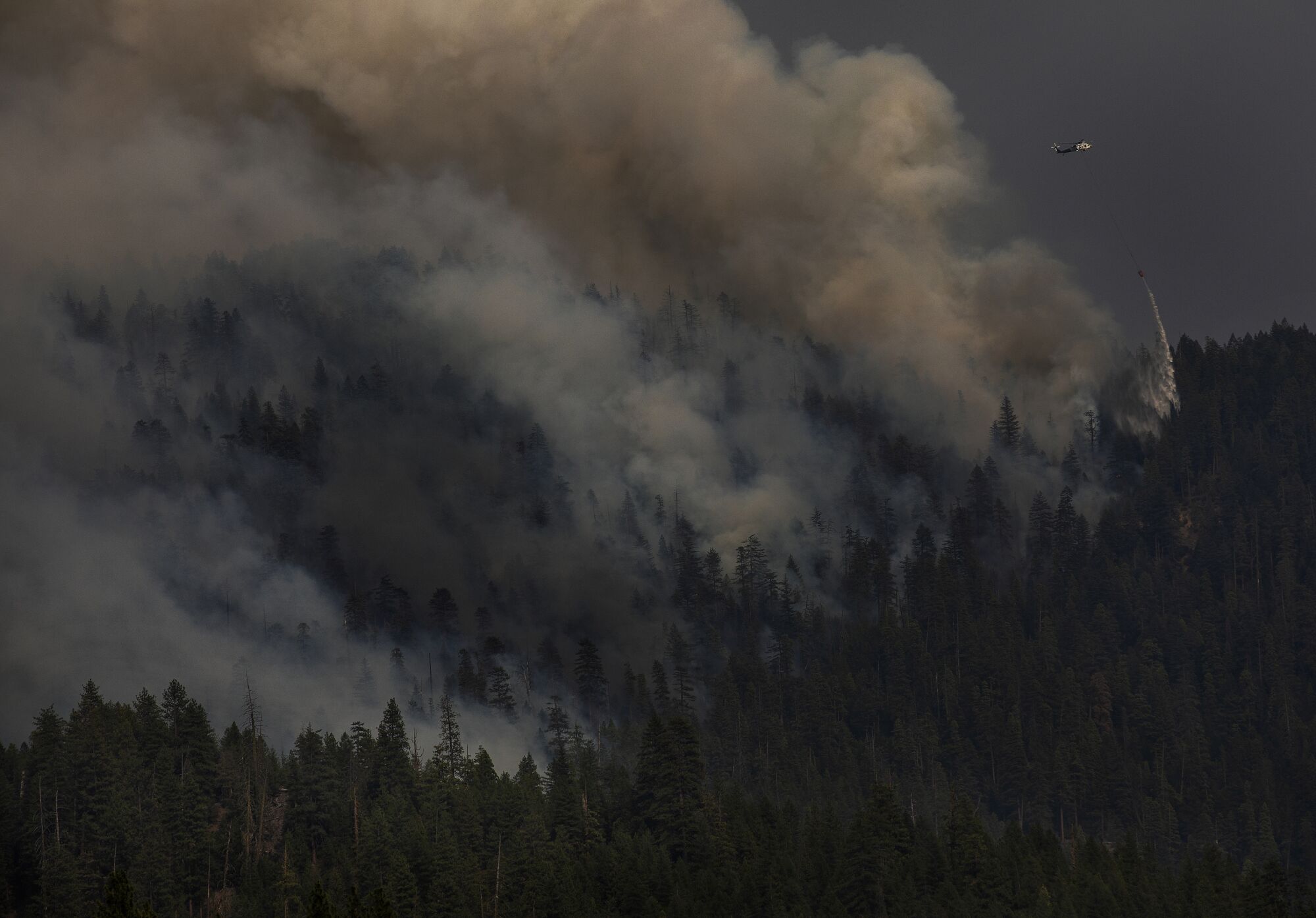 Smoke rises above a forest.