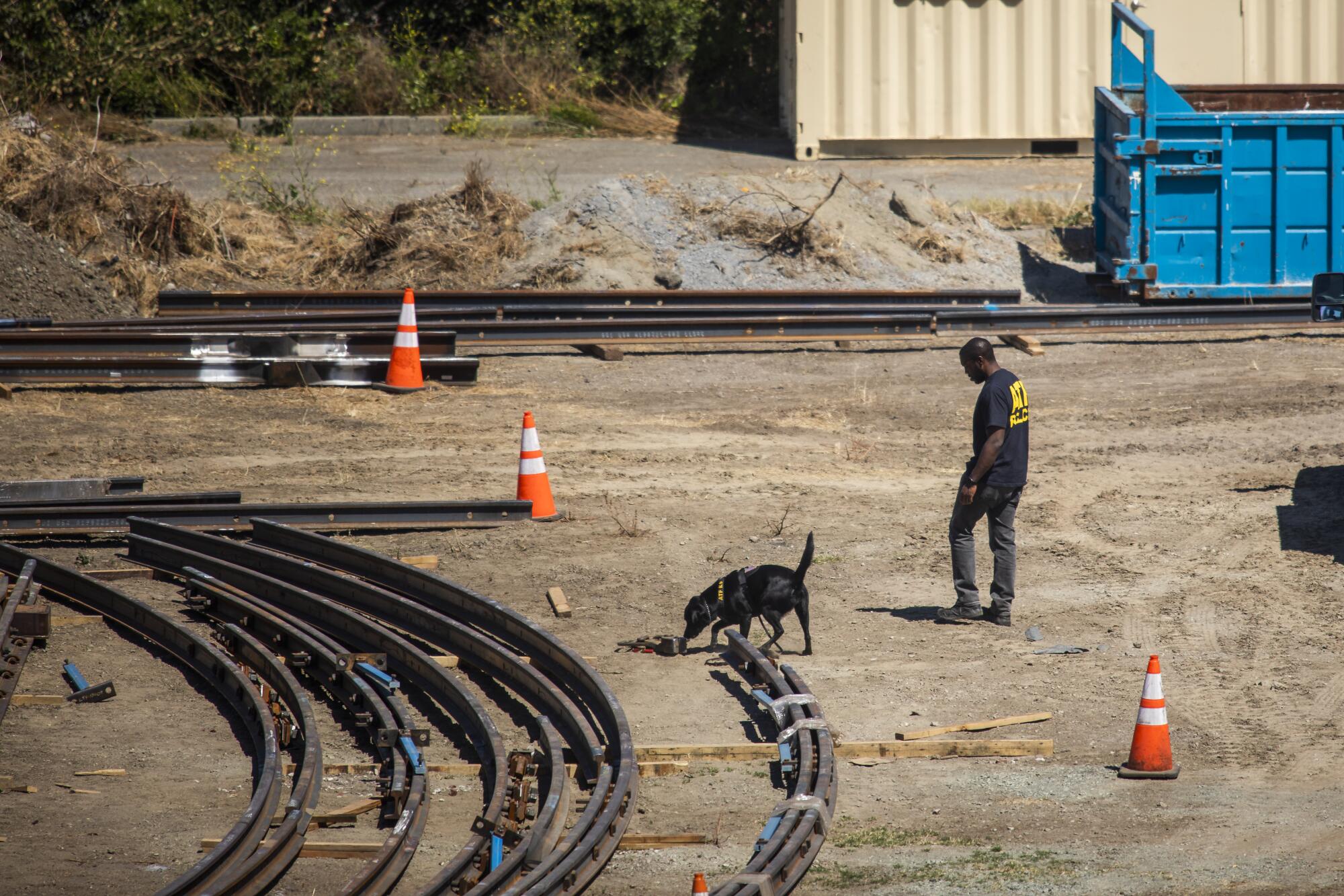 A person and a dog walk near rails.
